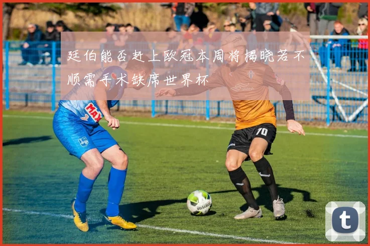 廷伯能否赶上欧冠本周将揭晓若不顺需手术缺席世界杯